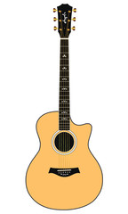 Acoustic Guitar