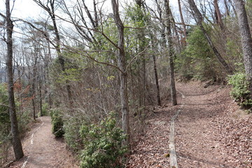 日本　三河湖　景色