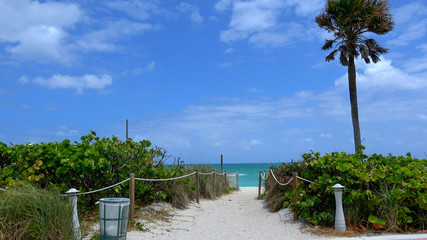 Wonderful beach in the Carribean