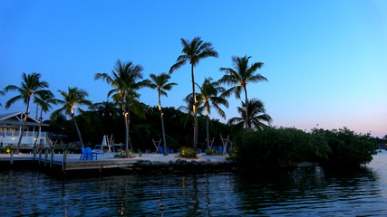 Fototapeta na wymiar Illuminated palm trees at a bay in the Florida Keys - evening view