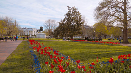 Garden in front of The White House in Washington - home and office of the US President
