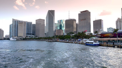 Skyline of Miami in the evening