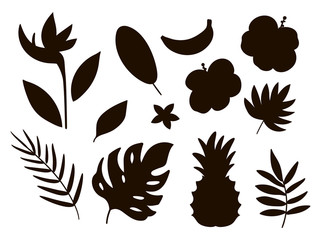 Vector tropical fruit, flowers and leaves silhouettes. Jungle foliage and florals black illustration. Hand drawn flat exotic plants shadows isolated on white background. Summer greenery stamp design.