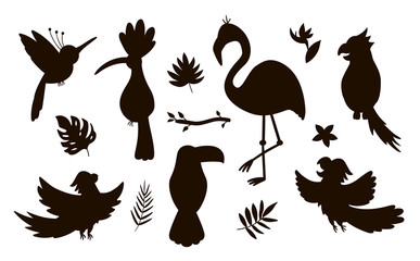 Vector cute exotic birds, leaves, flowers silhouettes isolated on white background. Funny tropical animals and plants illustration. Jungle summer stamp design.