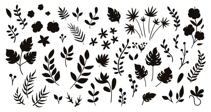 Vector tropical flowers leaves and twigs silhouettes. Jungle foliage and florals black illustration. Hand drawn flat exotic plants isolated on white background. Summer greenery shadows for children..