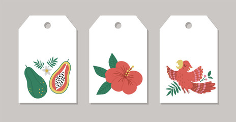 Set of vector summer gift tags, labels, pre-made designs with tropical bird, flowers, fruit. Funny exotic card templates with cute jungle characters. .