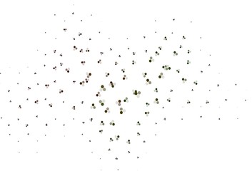 Light Green vector background with spots.