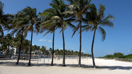 Miami Beach FLORIDA on a sunny day