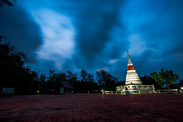 Nature close-up background by the river, able to see the surrounding atmosphere (parks, mangroves,...