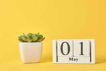 Wooden block calendar with date May 1 and succulent plant in the pot on yellow background. Labor...