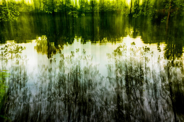 Reflections of lush green plants on a lake. An artsy shot. 