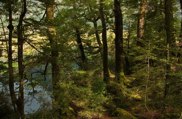 Fototapeta na wymiar Mirror Lakes in Fiordland National Park in Southland on South Island of New Zealand 