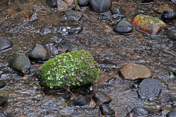 stone in river
