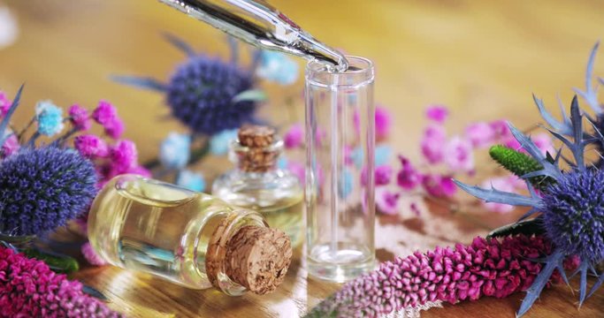 Perfumer creating new aroma liquid parfume pouring essential oil in vial. Fresh purple pink flowers with bottles on wooden background. Professional production of homemade perfume, scent, fragrance.