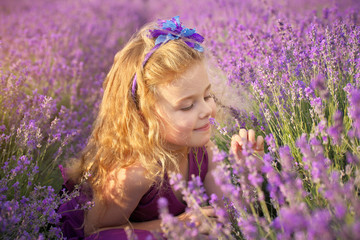 Little girl on lavender meadow.