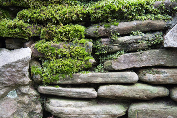 Texture of an old stone wall covered with green moss. Stones and moss. Greeting card