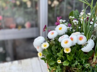 Download Unter dem meer sweet 16 dekorationen For Android Free Unter Dem Meer Sweet 16 Dekorationen