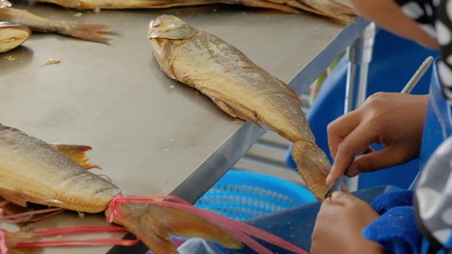 Traditional process of making salted dried threadfin fish, local premium product of Pattani.