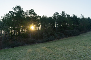 Obraz premium Landschaft im Frühling