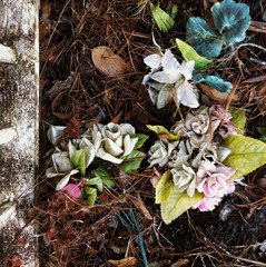 Looking down onto aged and faded plastic flowers lying on a grave in an overgrown cemetery