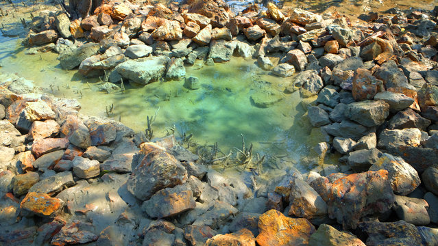 Natural fresh water pond beside the sea in island.