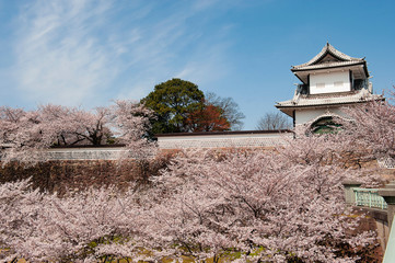 石川門