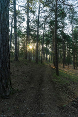 Landschaft im Frühling