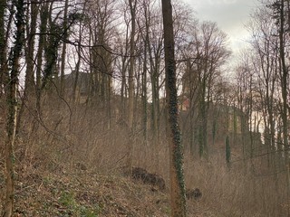 sunset evening castle