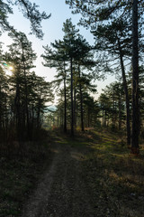 Landschaft im Frühling