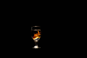Golden Fish Bowl Stock photos
