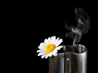 Camomile in a trunk of a fowling piece