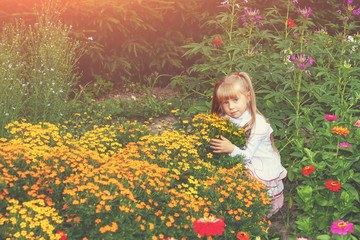 Little girl sits in flowers in a summer garden