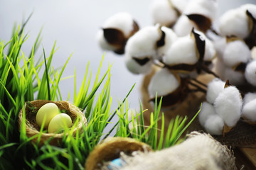 Bird's nest with eggs. Willow branches and first greens. Easter background. Palm Sunday. Christian holiday. Spring background.