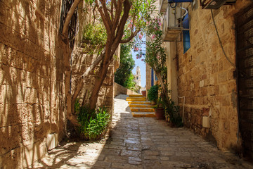 Fototapeta na wymiar Alley in the old city of Jaffa