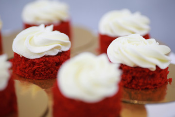 Beautiful festive cake biscuit with different creams