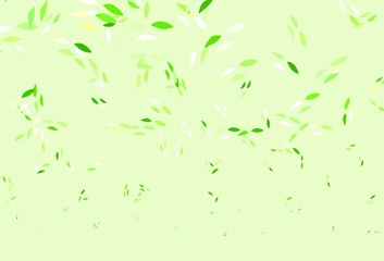 Light Green vector doodle background with leaves.