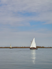 Boats with Latin sail in the albufera de Valencia, Spain