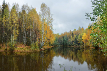 Fototapeta na wymiar Moody autumn forest along the shores of a calm lake. Bad weather and dampness of the end of September in Russia.