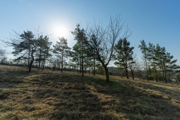 Landschaft im Frühling