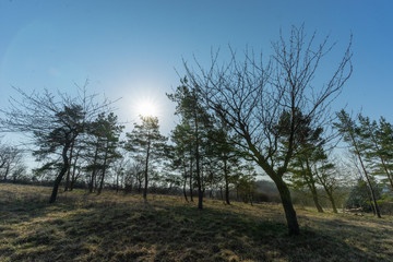 Obraz premium Landschaft im Frühling