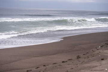 波打ち際に残された足跡 Footprints left on the beach
