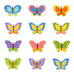 Fototapeta na wymiar Beautiful and bright collection of different butterflies.