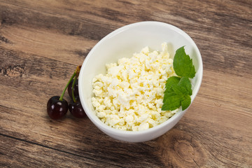Fresh tasty curd in the bowl