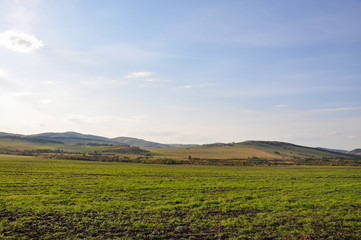 Soft landsсape with yellow meadows and forests far away. Light blue sky. Fall fields 