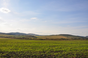 Soft landsсape with yellow meadows and forests far away. Light blue sky. Fall fields 