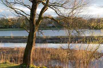 Abenddämmerung im Frühling am Obersee in Bielefeld, Ostwestfalen.