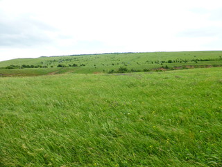 View of the Green field to the horizon