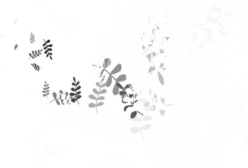 Light Gray vector natural backdrop with leaves.