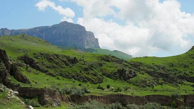 foothills, Alpine meadowю Summer mountain herbage with Salvia pratensis sage with blue flowers growing in a meadow in the Mountains
