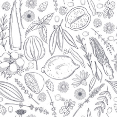 Botanical vector  pattern with hand drawn  plants . Organic cosmetics background.